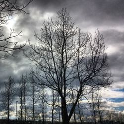 Low angle view of bare tree against cloudy sky