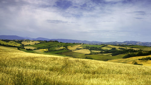 Scenic view of landscape against sky