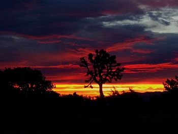 Silhouette trees against dramatic sky at sunset