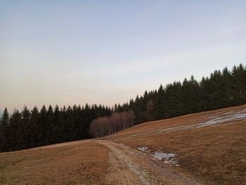 Road amidst trees against sky