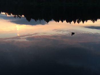 Silhouette swimming in lake against sky during sunset