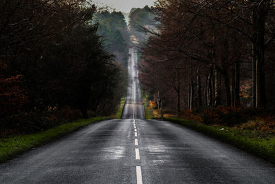 Road passing through trees