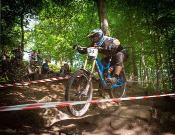 Man riding bicycle on tree in forest