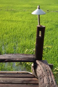 Bench in park