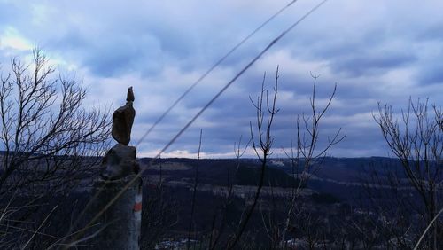 Bare trees against sky