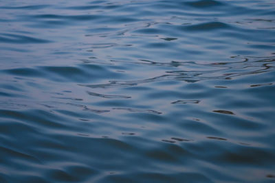 Full frame shot of rippled water