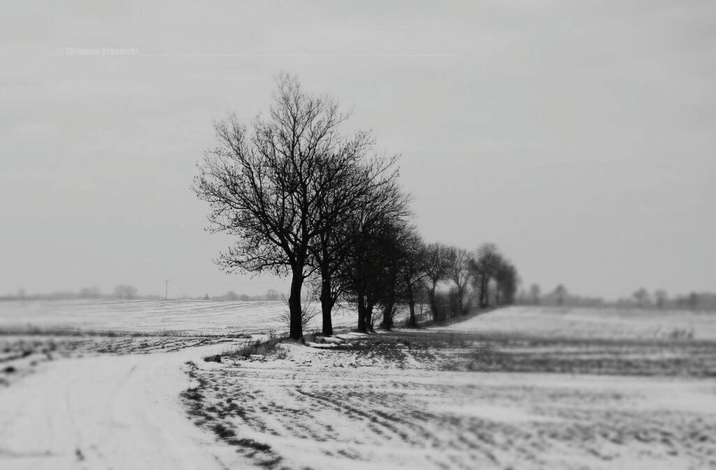 tree, landscape, clear sky, tranquility, snow, winter, tranquil scene, bare tree, field, cold temperature, nature, road, copy space, beauty in nature, scenics, day, non-urban scene, season, weather, outdoors