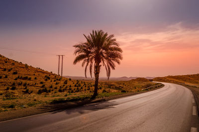 Road amidst palm trees against sky during sunset