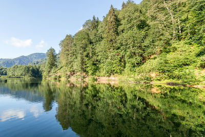 Scenic view of lake by trees against sky