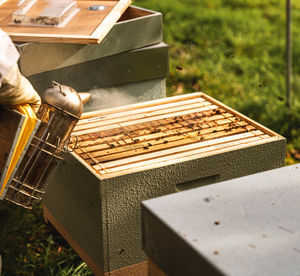 Close-up of bee on field