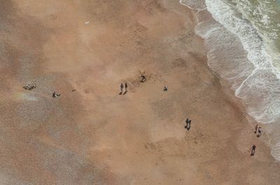 High angle view of people at beach