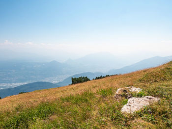 Summer meadow close to peak of gazza mountain, dolomite alps. amazing wild nature. trentino, italy