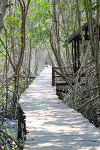 Boardwalk amidst trees in forest