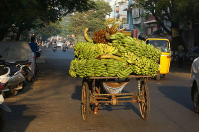 Banana banana india