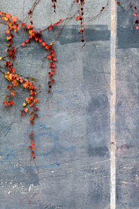 Close-up of abstract background