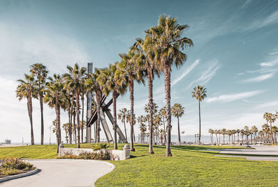 Palm trees by plants against sky