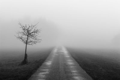 Road amidst trees and landscape during foggy weather