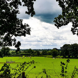 Scenic view of agricultural field against sky