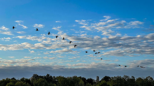 sky