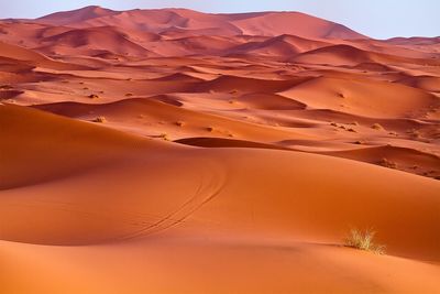 Scenic view of sahara desert at dawn