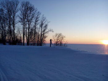 Trees on snow covered landscape during sunset