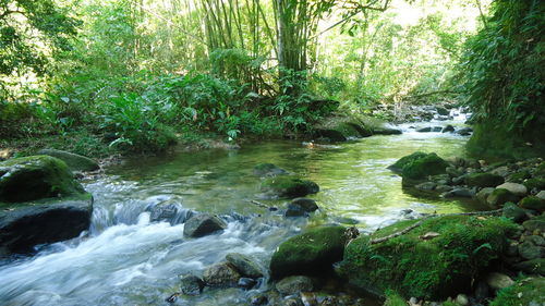 Scenic view of river flowing through rocks