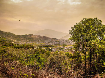 Scenic view of trees and mountains against sky