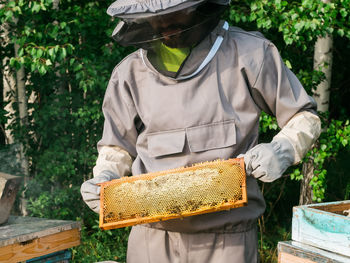 Midsection of man holding bee