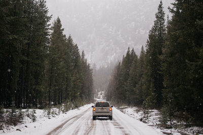 Road passing through snow covered trees