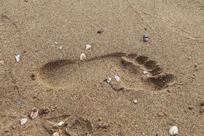 High angle view of footprints on beach