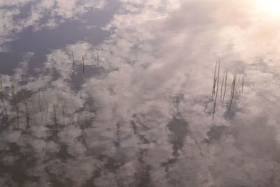 cloud