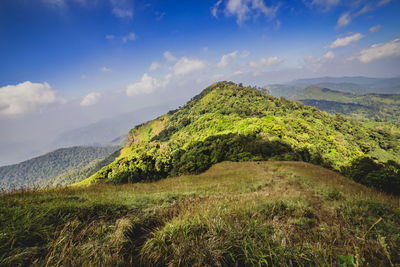 Scenic view of green field against sky