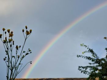 Low angle view of rainbow against sky