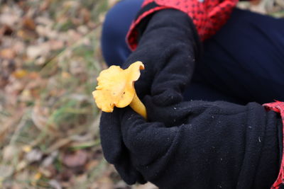 Close-up of person holding autumn leaf