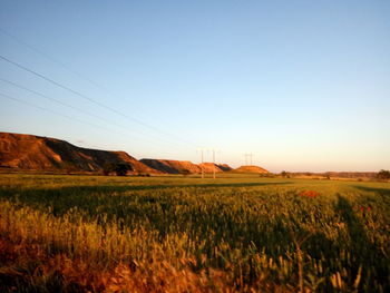 Scenic view of field against clear sky