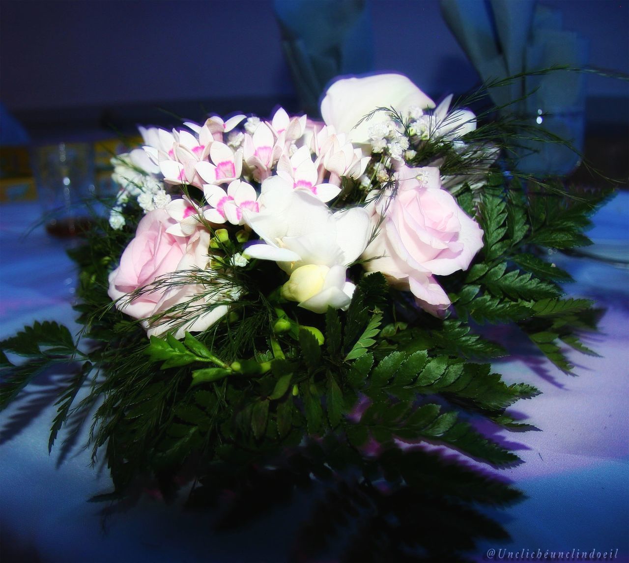 CLOSE-UP OF FLOWERS IN BLOOM