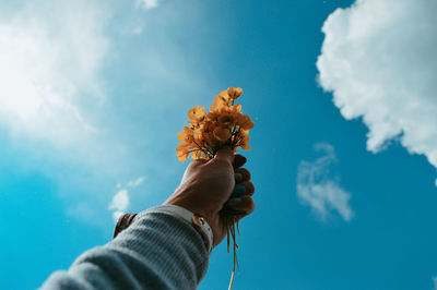 Low angle view of person hand holding flowers against sky