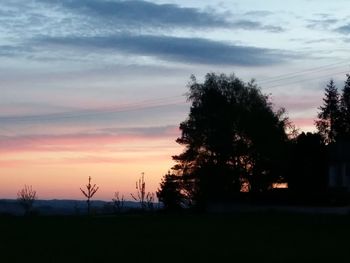 Silhouette of trees on field at sunset