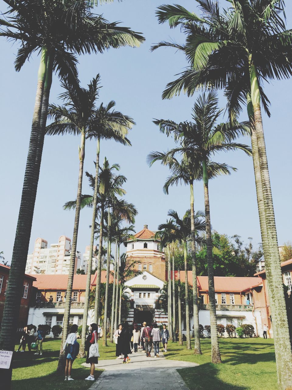 architecture, building exterior, built structure, tree, men, clear sky, person, large group of people, city, lifestyles, street, leisure activity, city life, sunlight, walking, low angle view, day, sky, outdoors