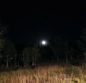 Scenic view of field against sky at night