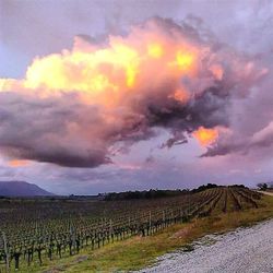 Scenic view of field against cloudy sky