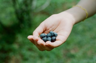 Close-up of hand holding fruit