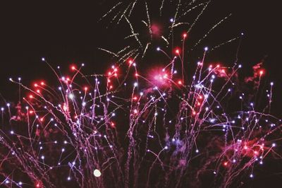 Low angle view of firework display
