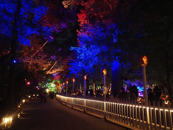 Illuminated road by trees in city at night