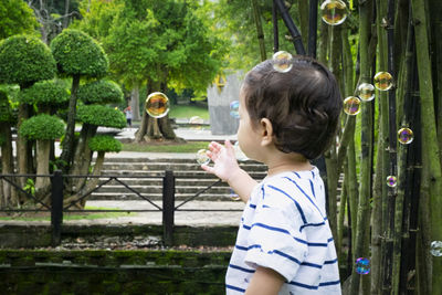 Boy eating food on tree