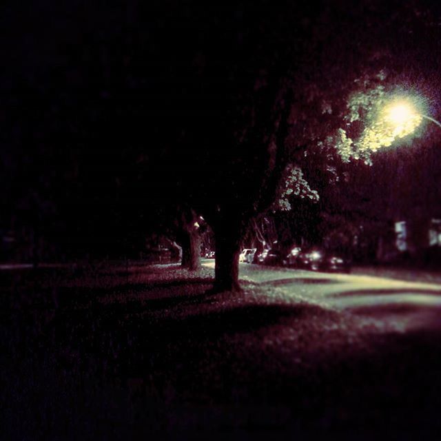 night, illuminated, dark, silhouette, tree, street, field, road, outdoors, light - natural phenomenon, lighting equipment, grass, no people, street light, copy space, glowing, shadow, tranquility, light