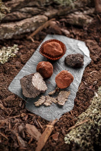 Close-up of cookies