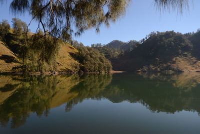 Scenic view of lake by trees against sky