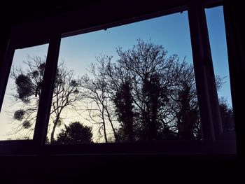 Low angle view of trees against sky