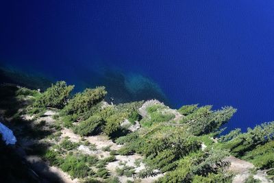 High angle view of trees by sea against sky